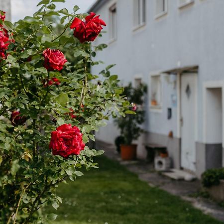 Schützen am Gebirge Ferienwohnung Morgensonne מראה חיצוני תמונה