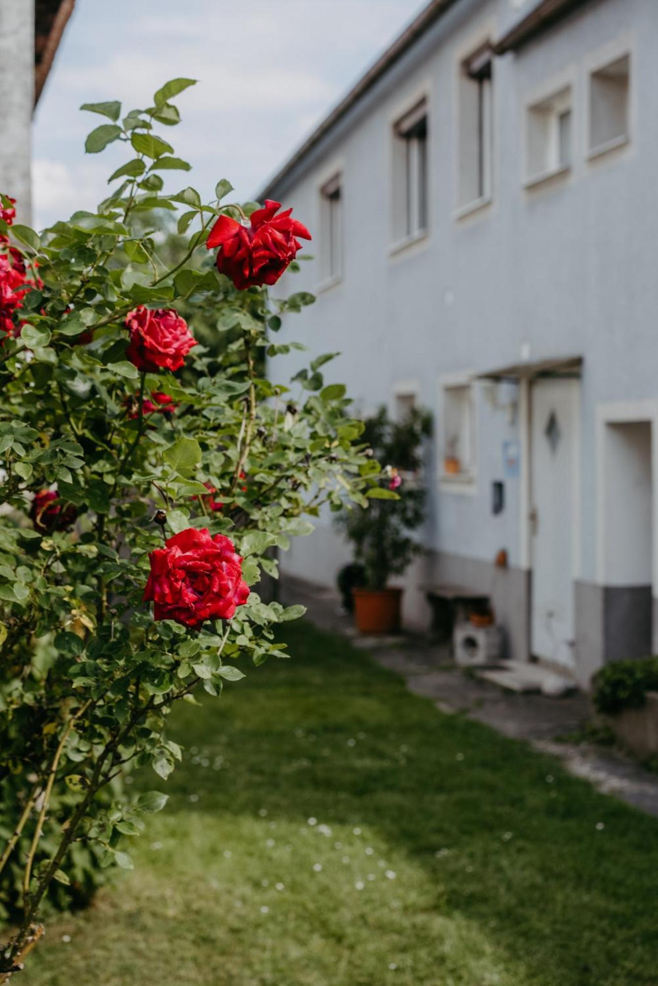 Schützen am Gebirge Ferienwohnung Morgensonne מראה חיצוני תמונה